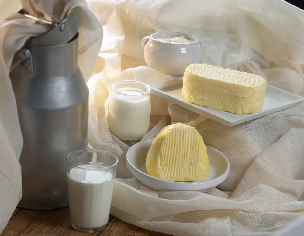 ferme laitière à Rauret